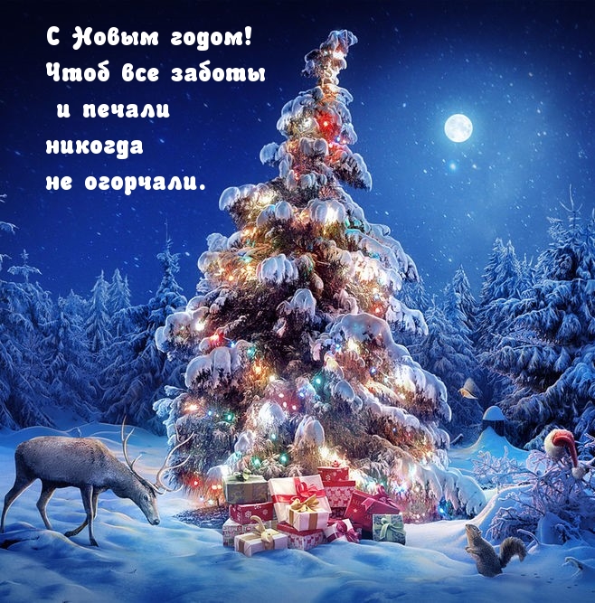 С Новым годом! Чтоб все заботы и печали никогда не огорчали.