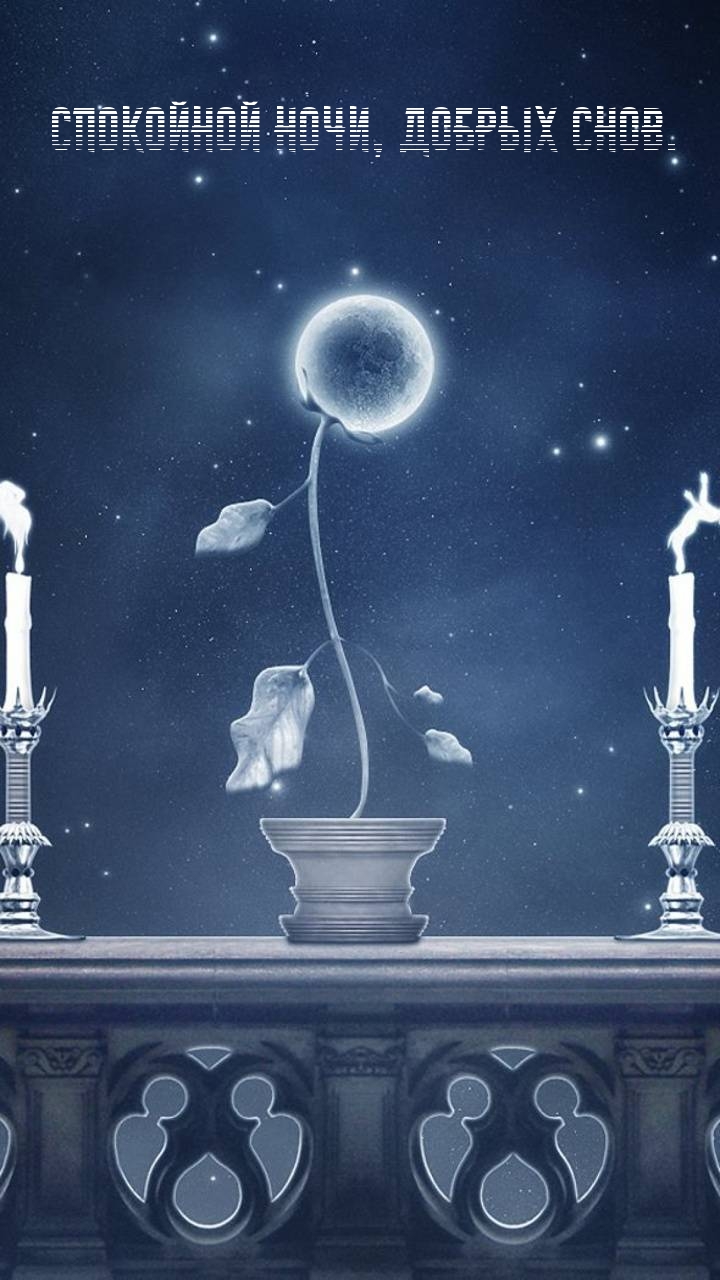 Спокойной ночи, добрых снов.