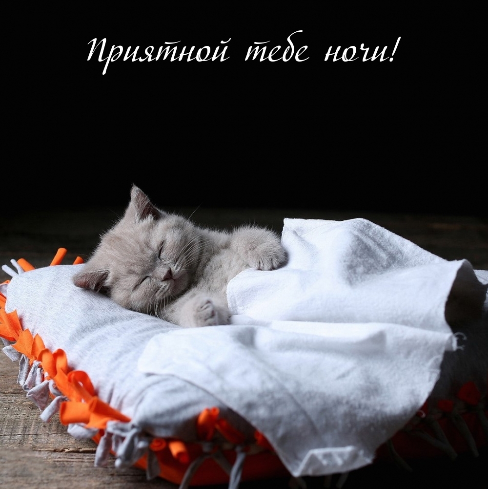 Приятной тебе ночи!