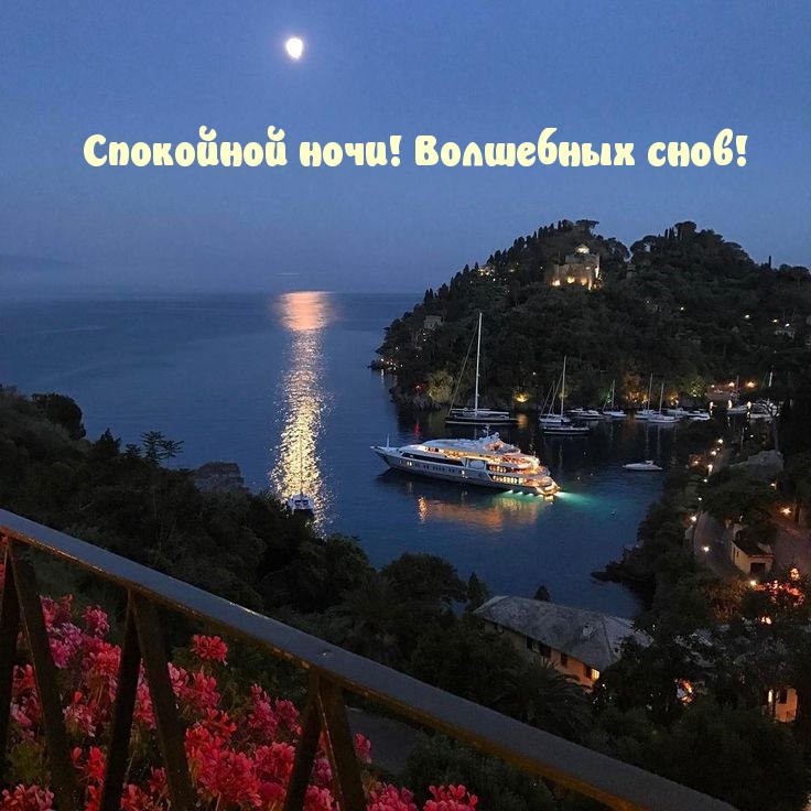 Спокойной ночи! Волшебных снов!