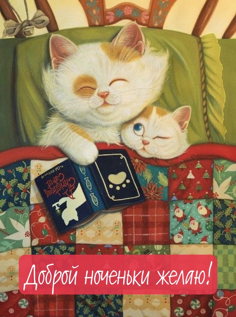 Доброй ноченьки желаю!