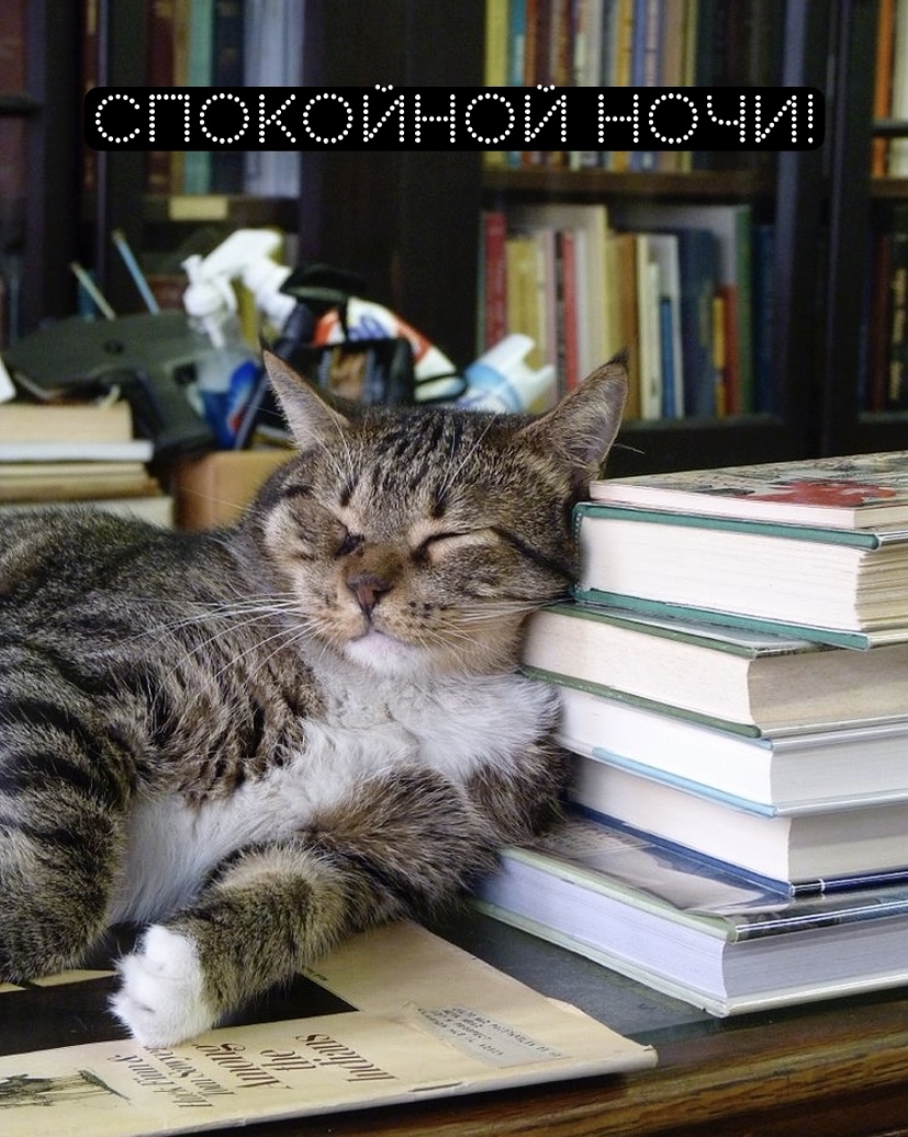 Спокойной ночи!
