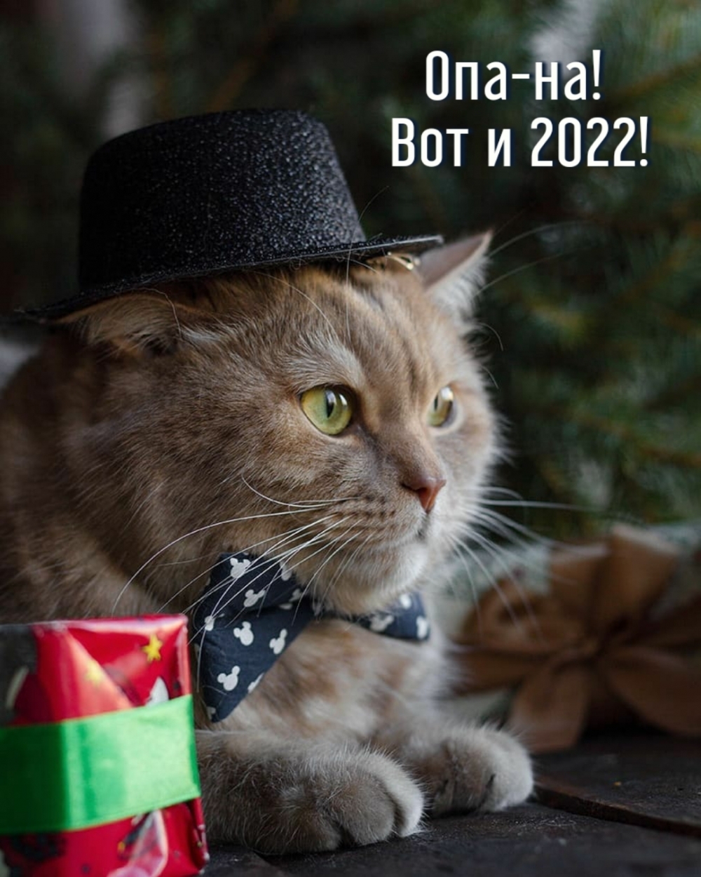 Опа-на! Вот и 2022!