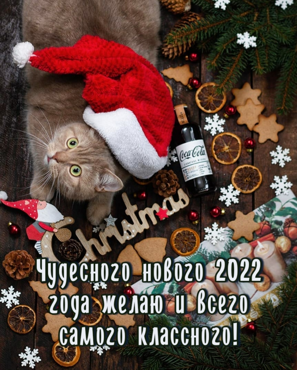 Чудесного нового 2022 года желаю и всего самого классного!