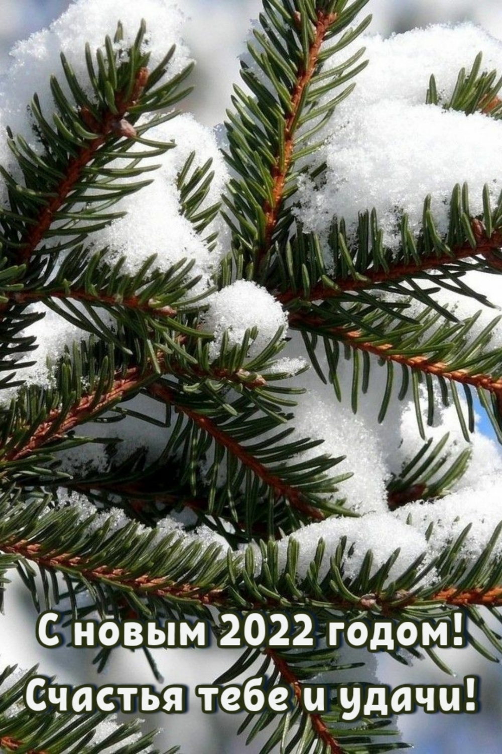С новым 2022 годом! Счастья тебе и удачи!