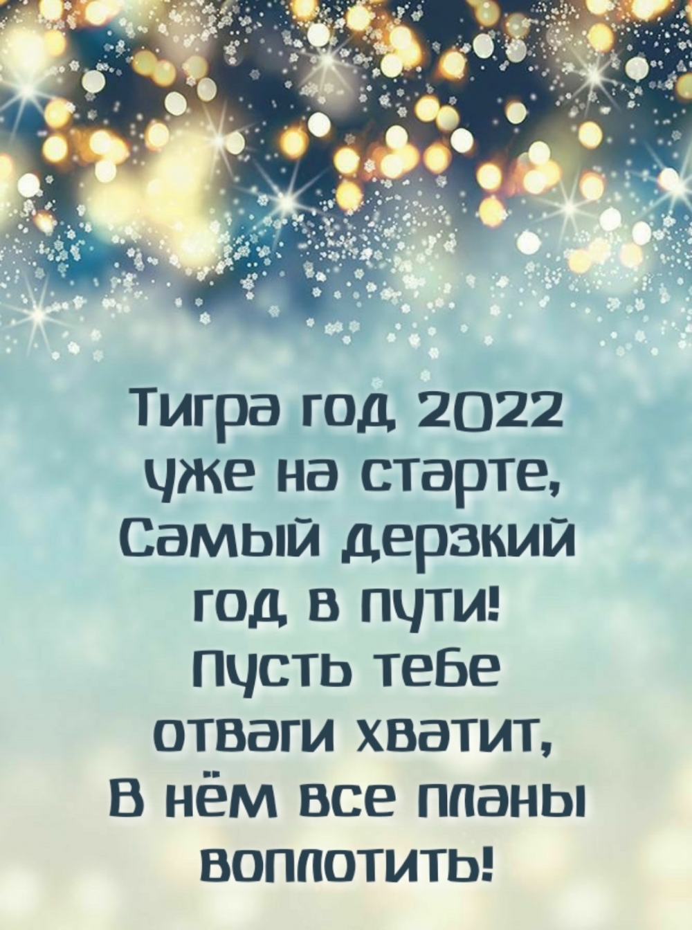 Тигра год 2022 уже на старте