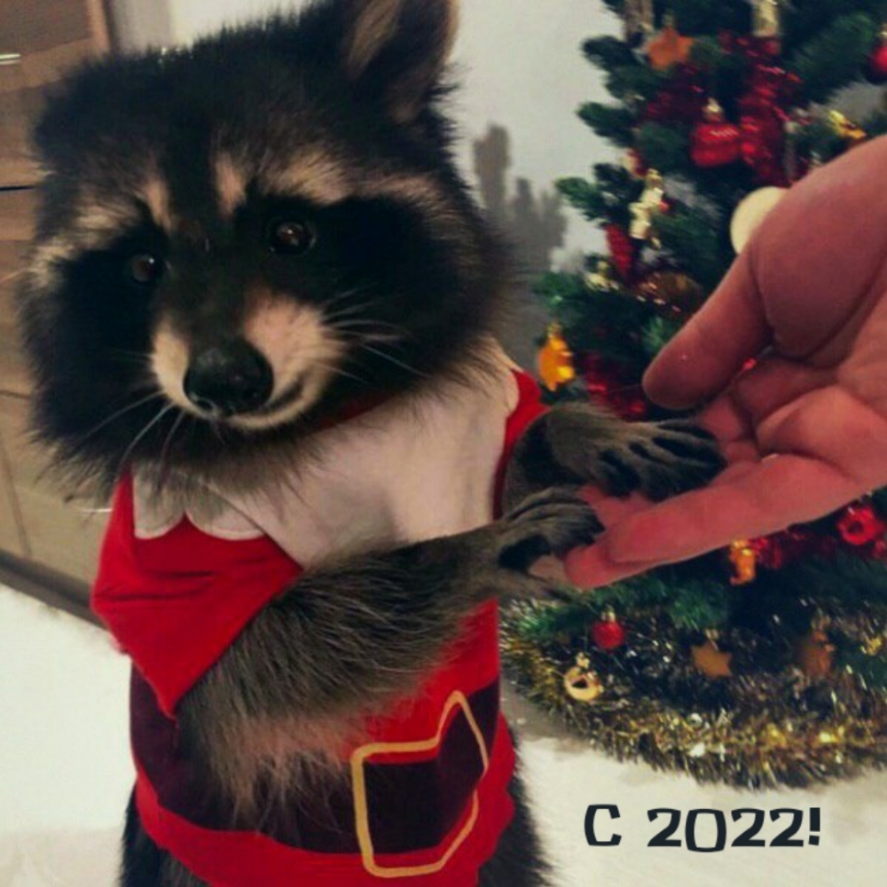 С 2022!