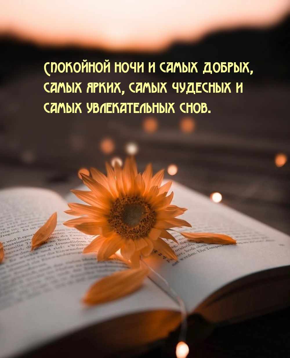 Спокойной ночи и самых добрых, самых ярких снов.