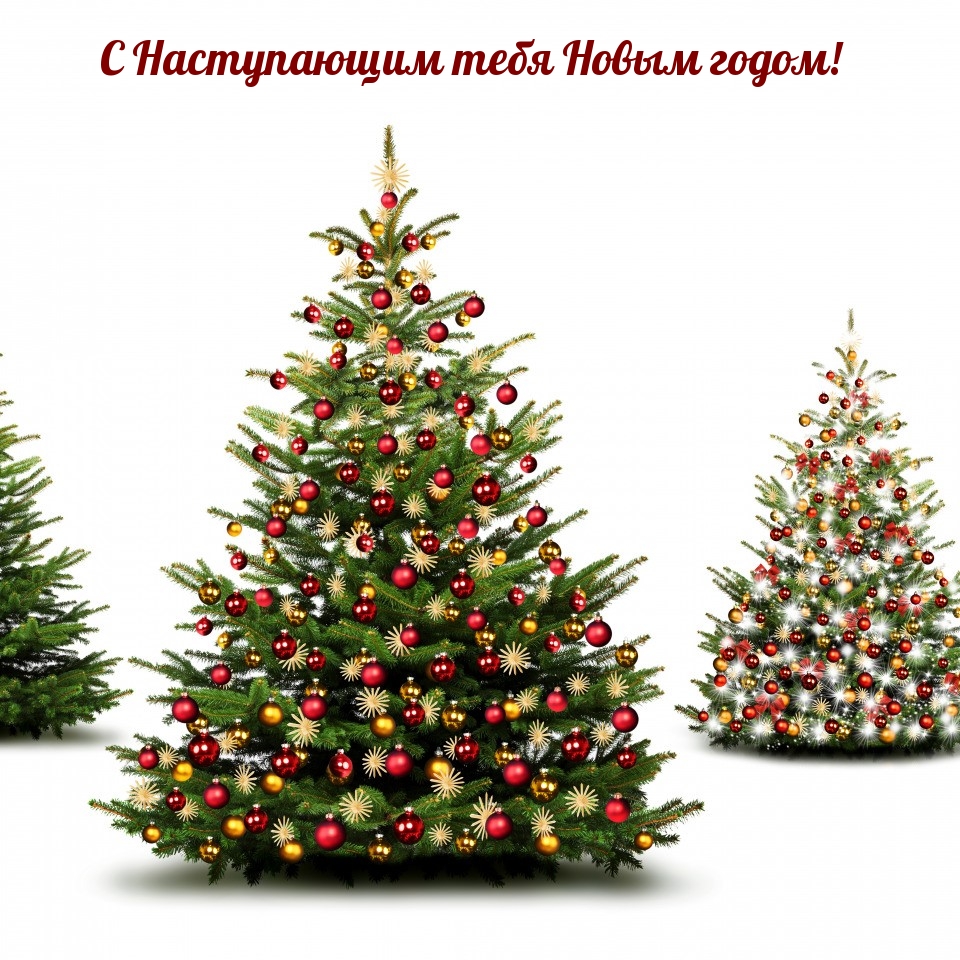 С Наступающим тебя Новым годом!