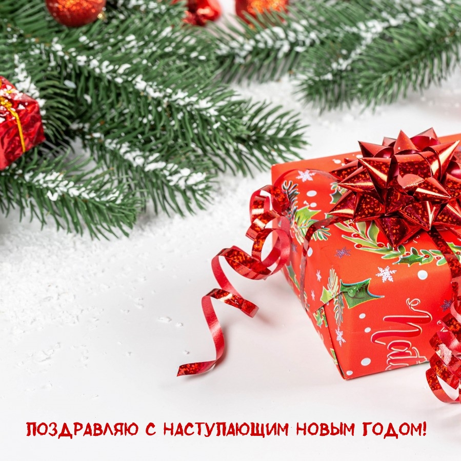 Поздравляю с наступающим Новым годом!
