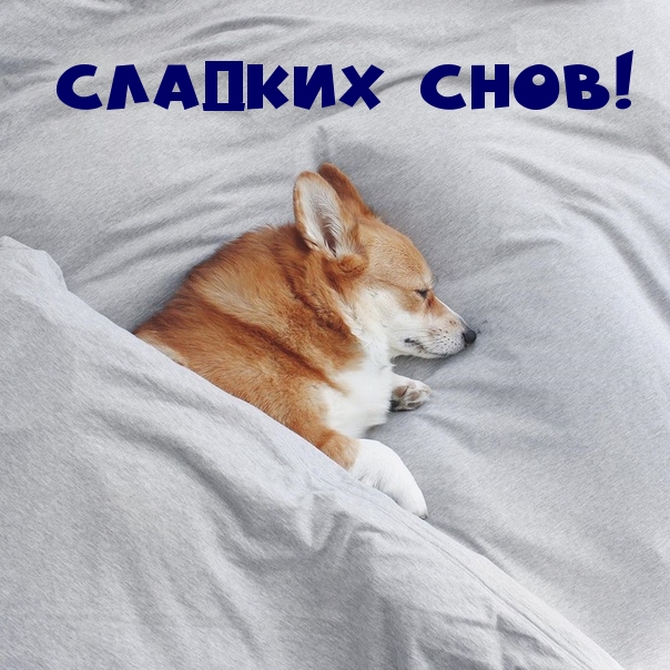 Сладких снов!