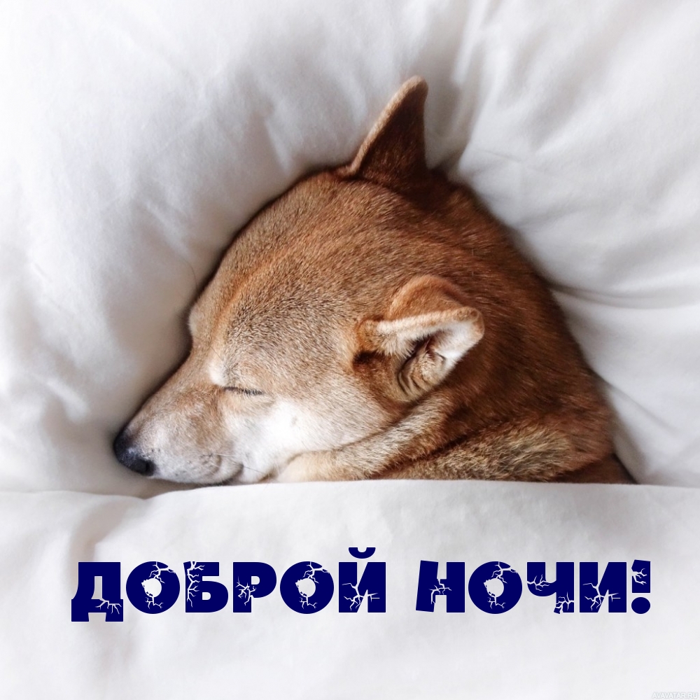 Доброй ночи!