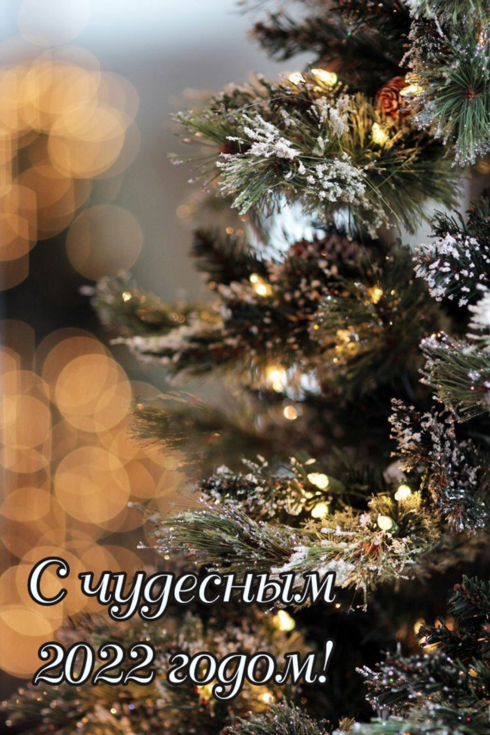 С чудесным 2022 годом!