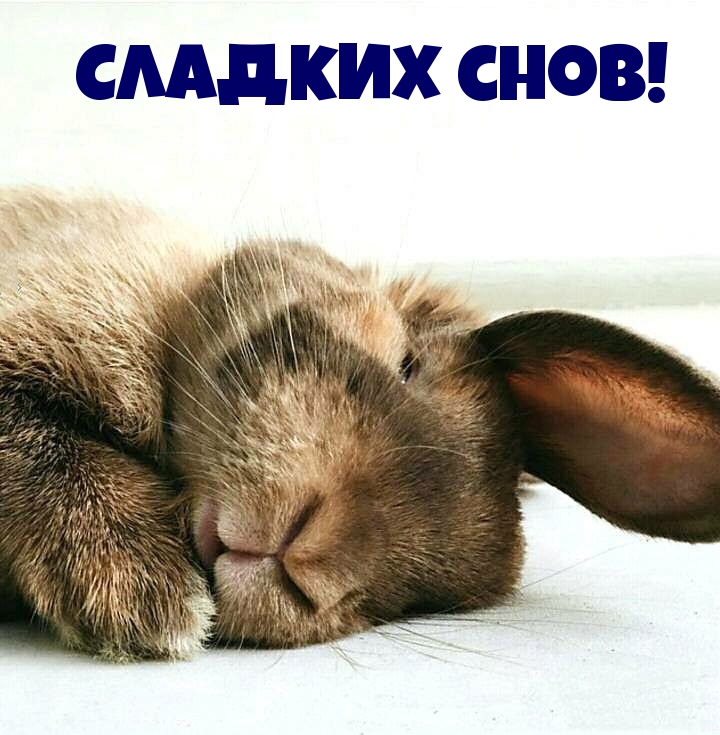 Сладких снов!