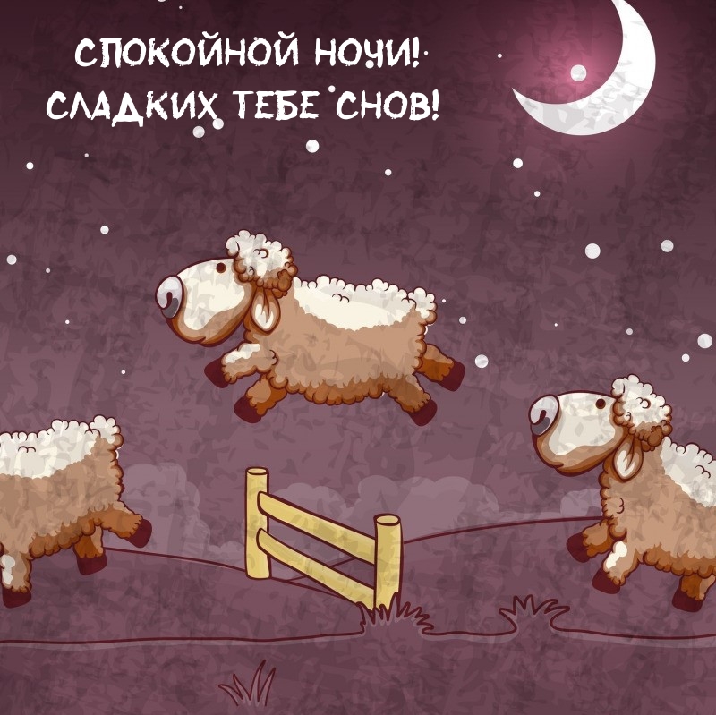 Спокойной ночи! Сладких тебе снов!