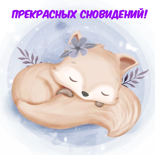 Прекрасных сновидений!