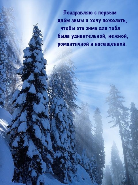 Поздравляю с первым днём замы