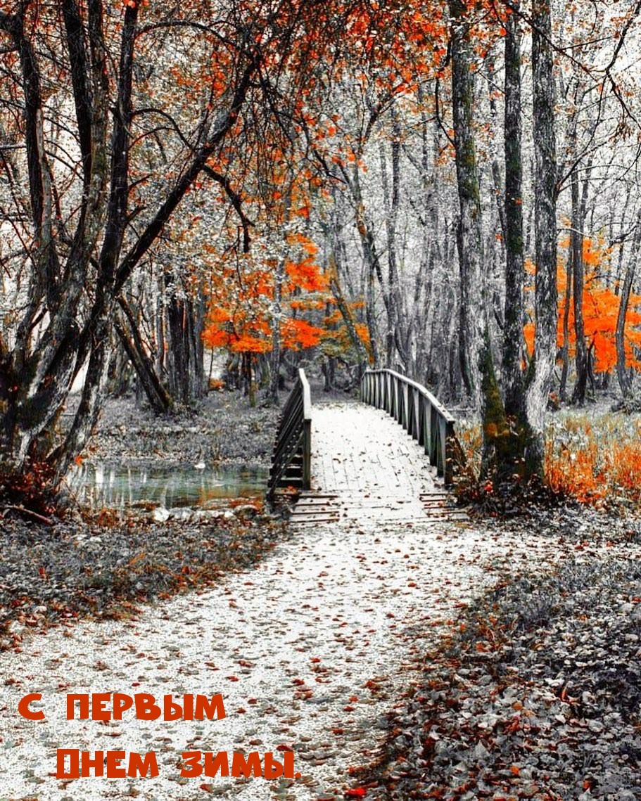 С первым днем зимы.