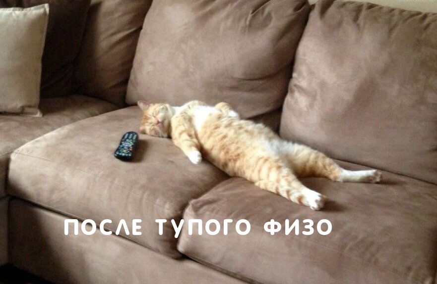 ПОСЛЕ ТУПОГО ФИЗО