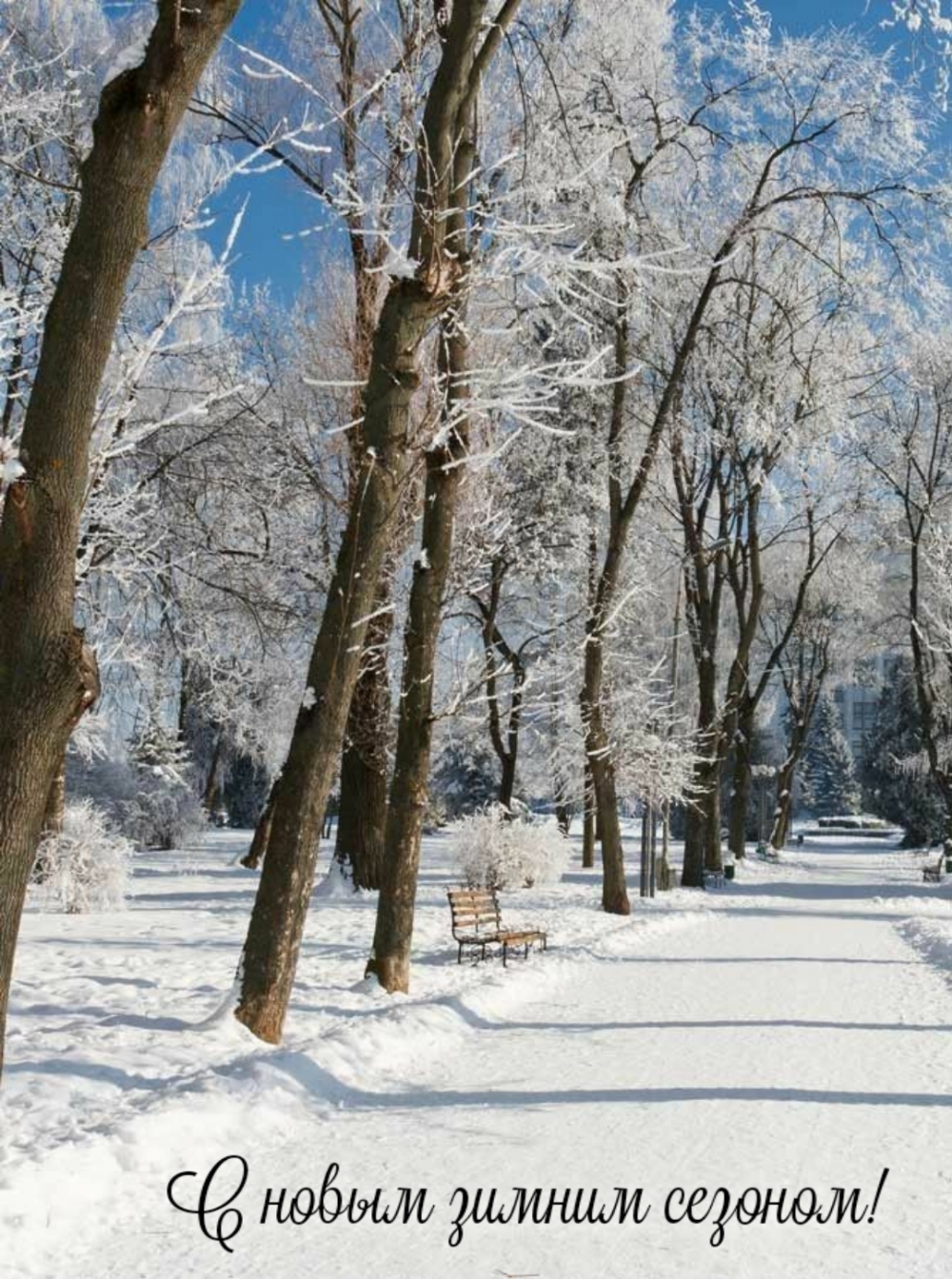 С новым зимним сезоном!