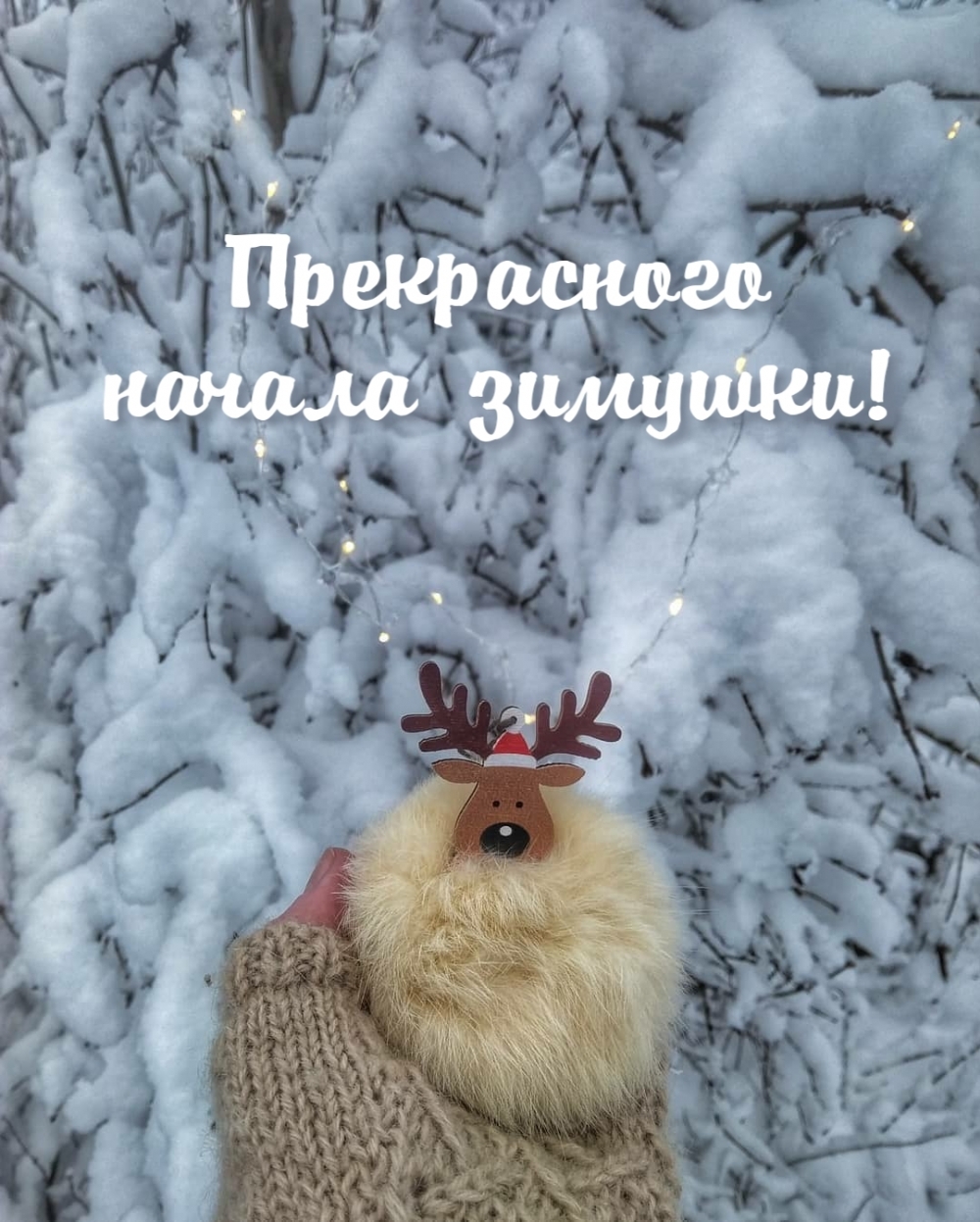 Прекрасного начала зимушки!