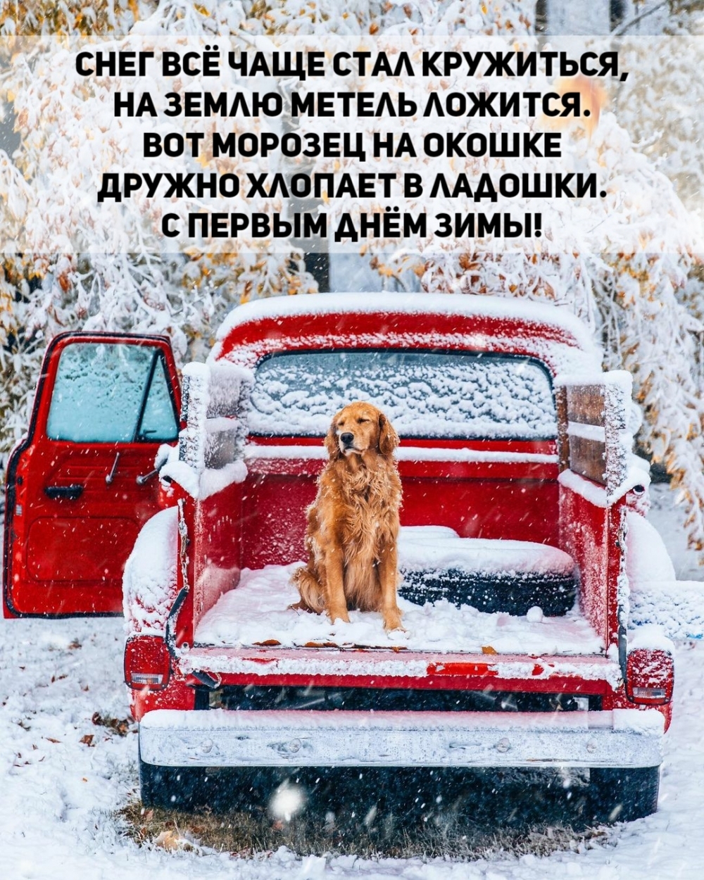 Дружно хлопает в ладошки. С первым днём зимы!