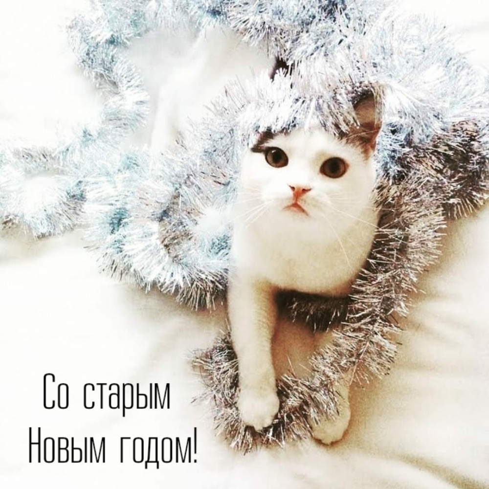 Со старым Новым годом!