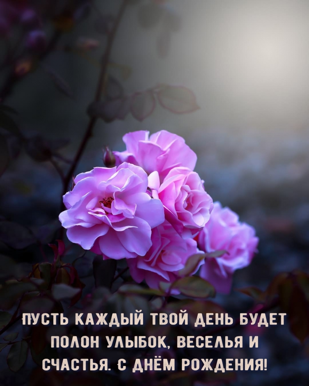 Пусть каждый твой день будет полон улыбок