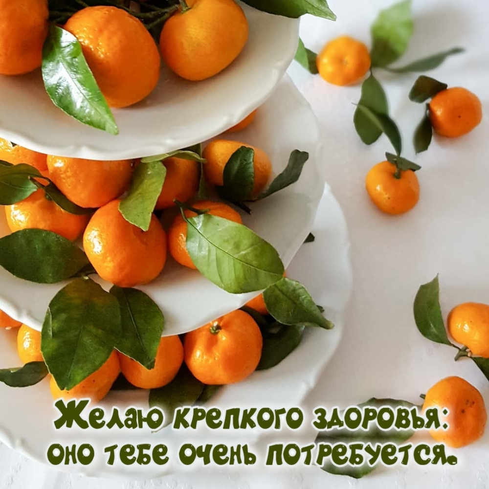 Желаю крепкого здоровья: оно тебе очень потребуется.