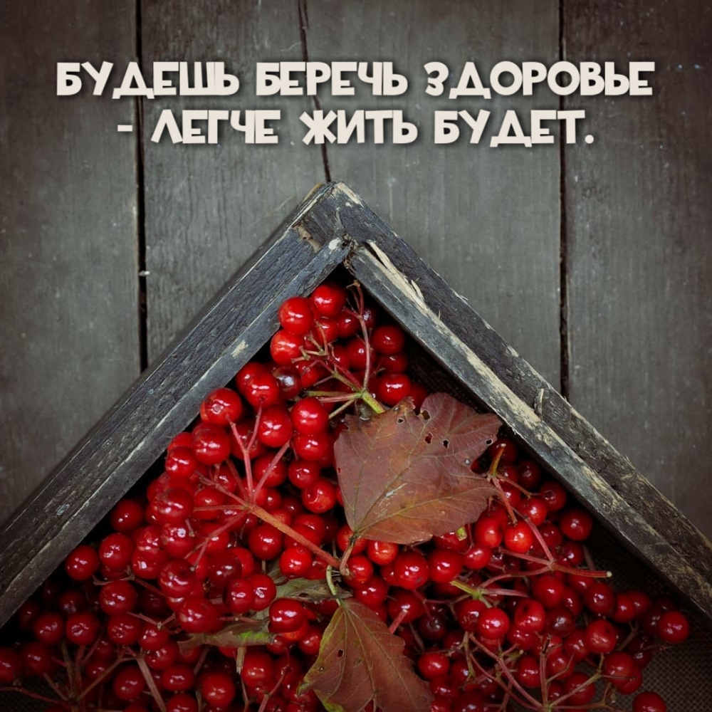 Будешь беречь здоровье — легче жить будет.