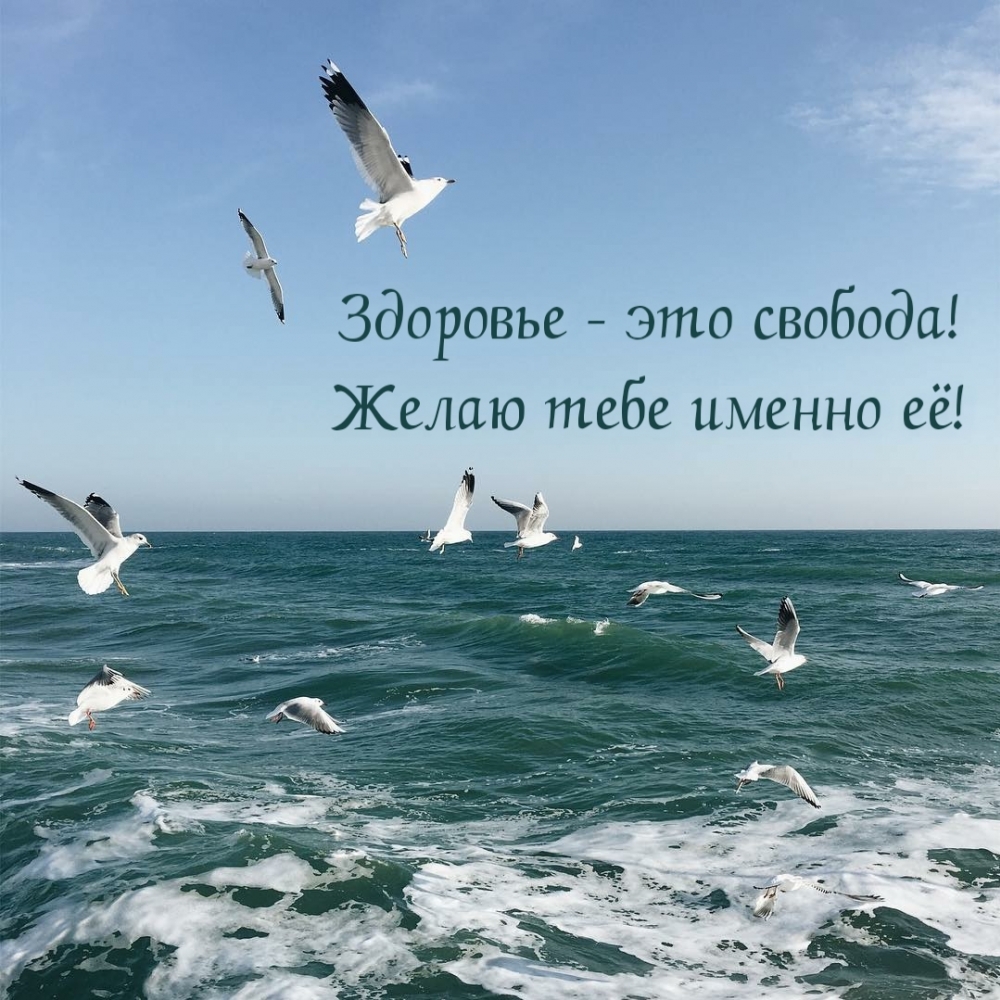 Здоровье — это свобода! Желаю тебе именно её!