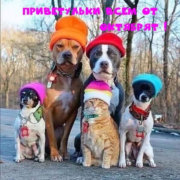 Приветульки всем от ОКТЯБРЯТ!