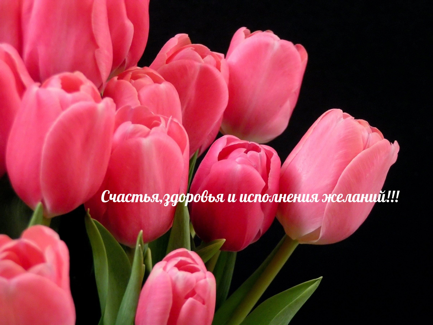 Счастья,здоровья и исполнения желаний!