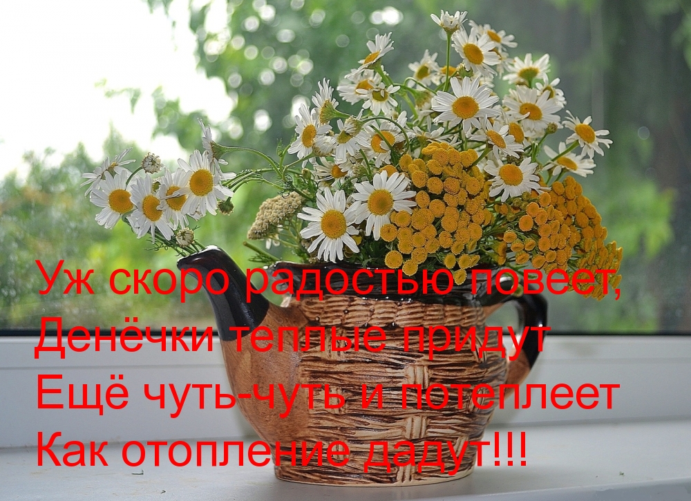 Ещё чуть-чуть и потеплеет как отопление дадут!