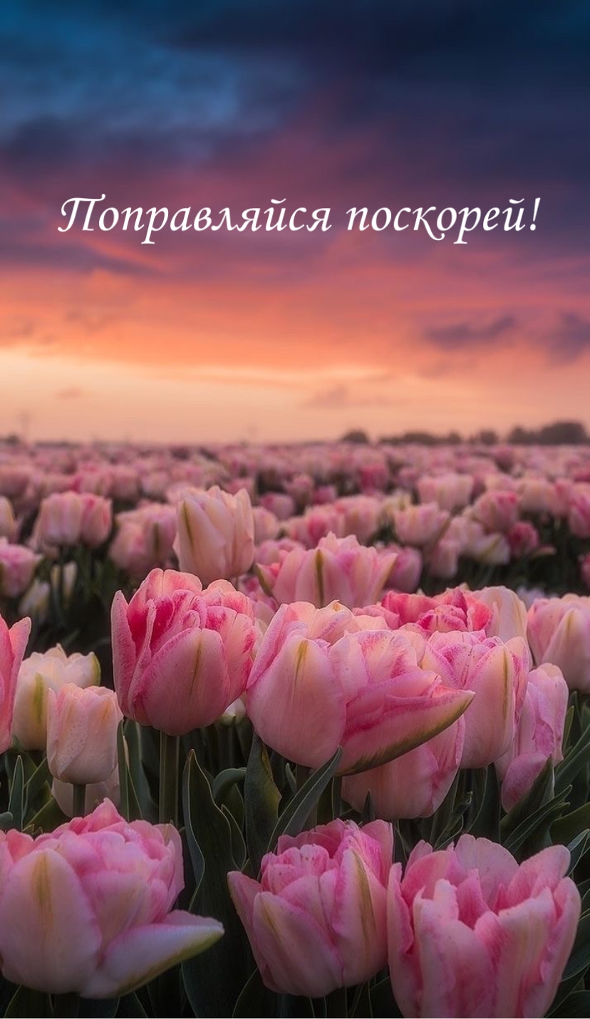 Поправляйся поскорей!