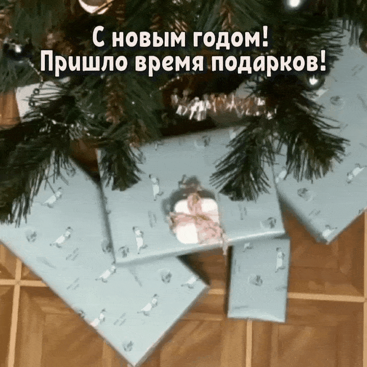 С новым годом! Пришло время подарков!