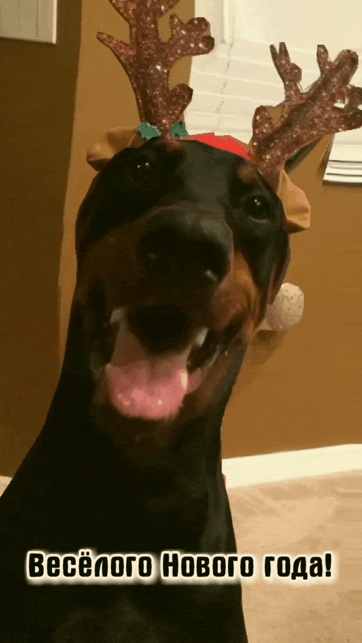 Весёлого Нового года!