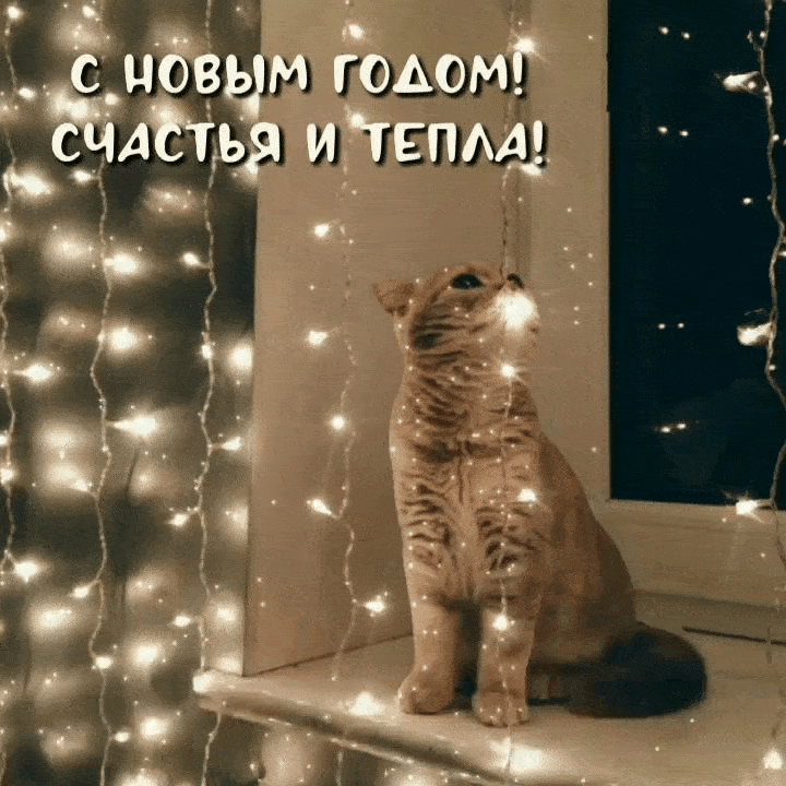 С Новым годом! Счастья и тепла!