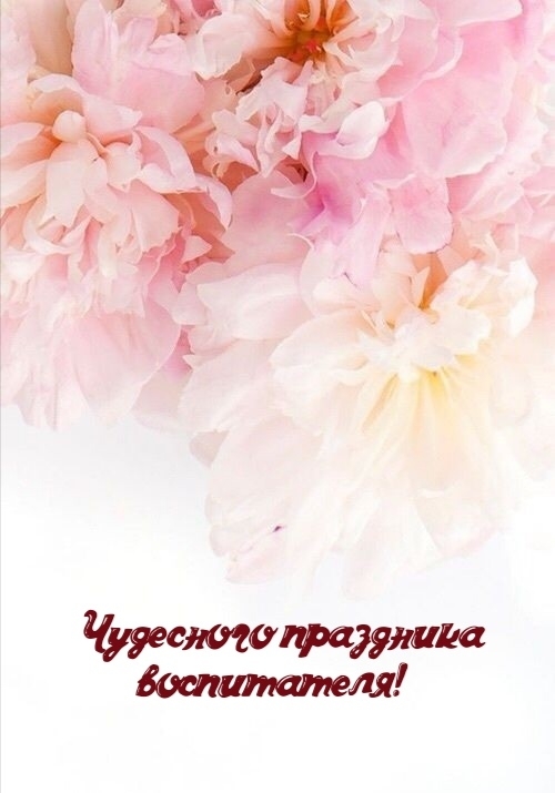 Картинки с надписями.  Чудесного праздника воспитателя!.