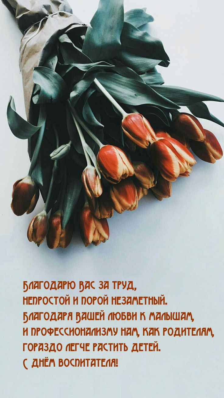 Благодарю Вас за труд, непростой. С днём воспитателя!
