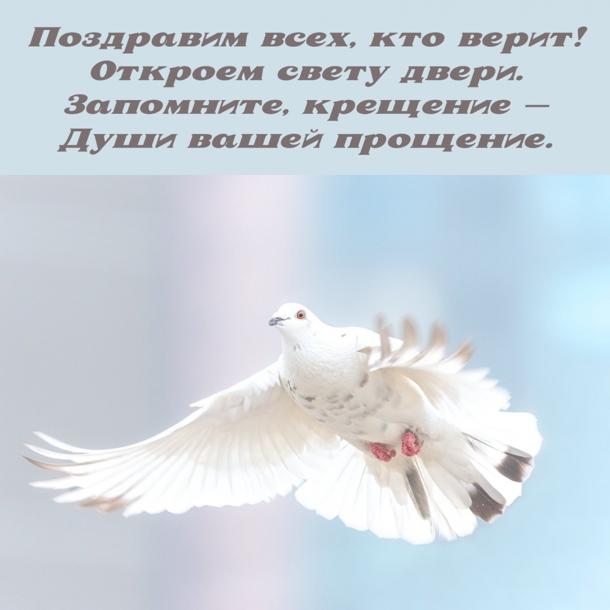 Картинки с надписями.  Поздравим всех, кто верит! Откроем свету двери..