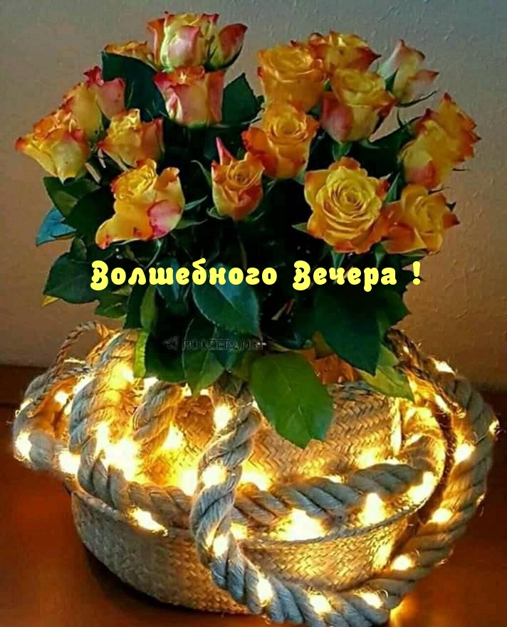 Волшебного Вечера!