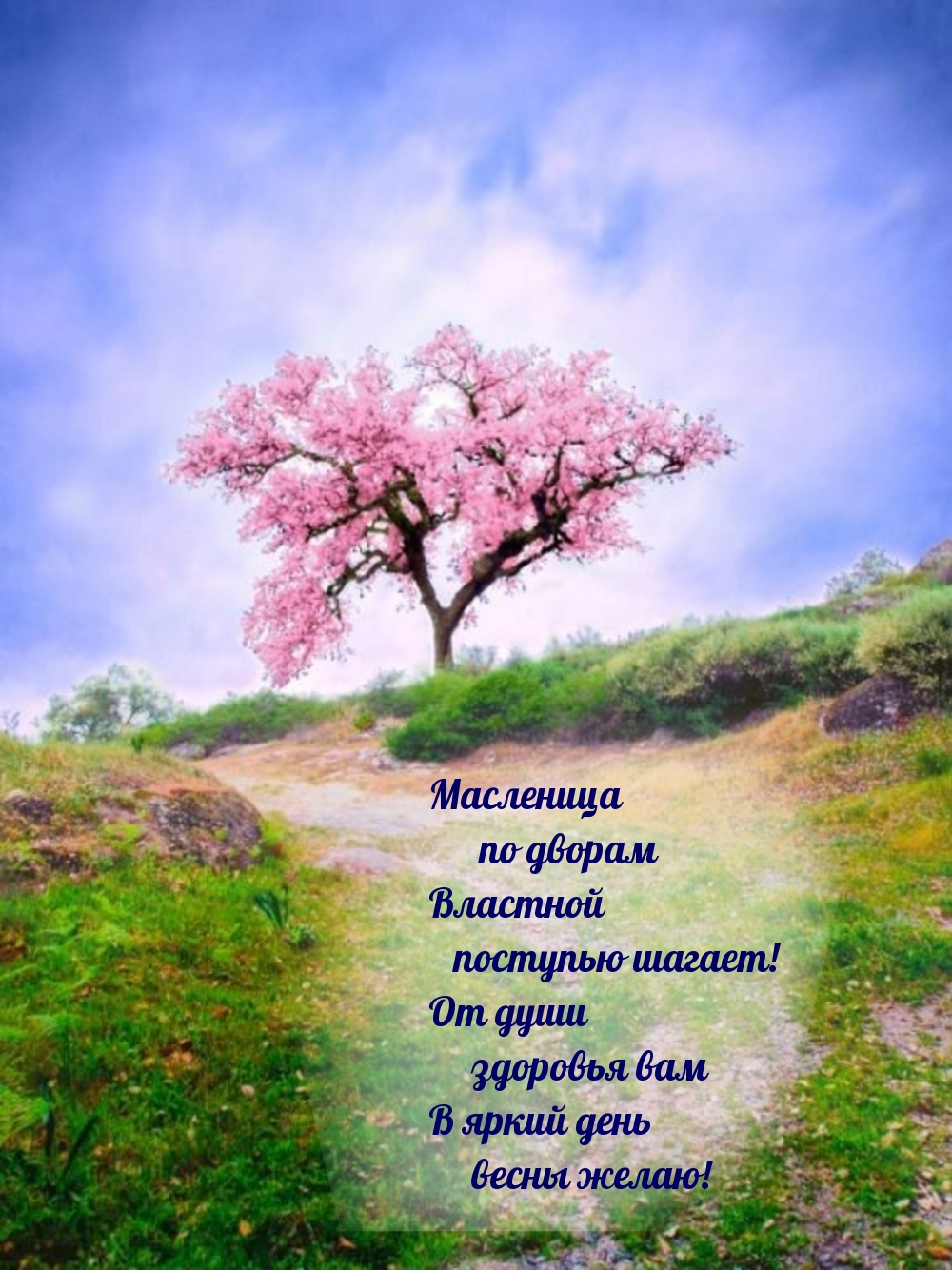Масленица по дворам Властной поступью шагает!