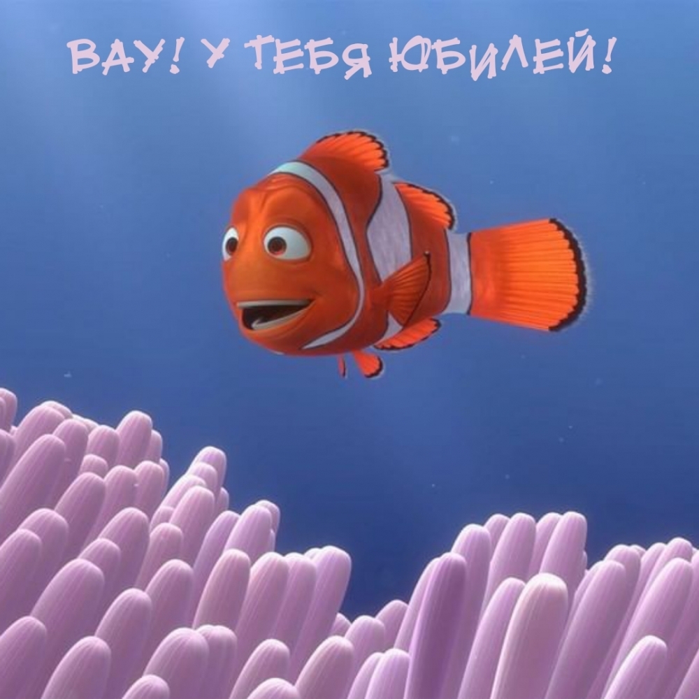 Вау! У тебя юбилей!