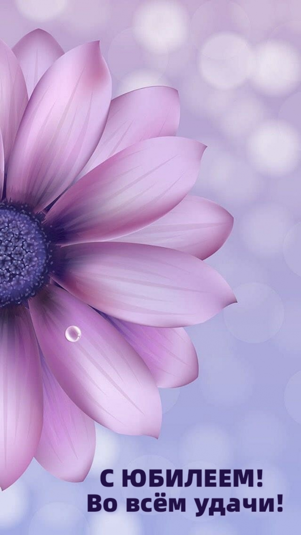 С ЮБИЛЕЕМ! Во всём удачи!