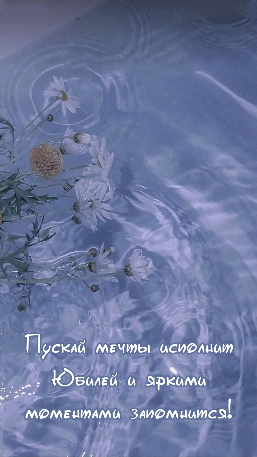 Пускай мечты исполнит Юбилей и яркими моментами запомнится!