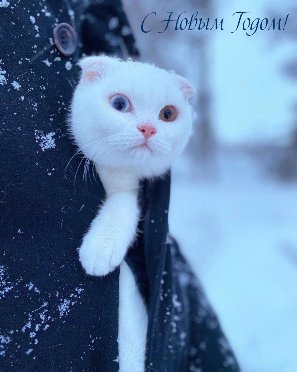 С Новым Годом!
