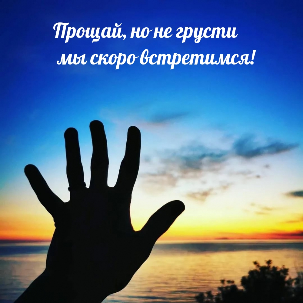 Прощай, но не грусти мы скоро встретимся!