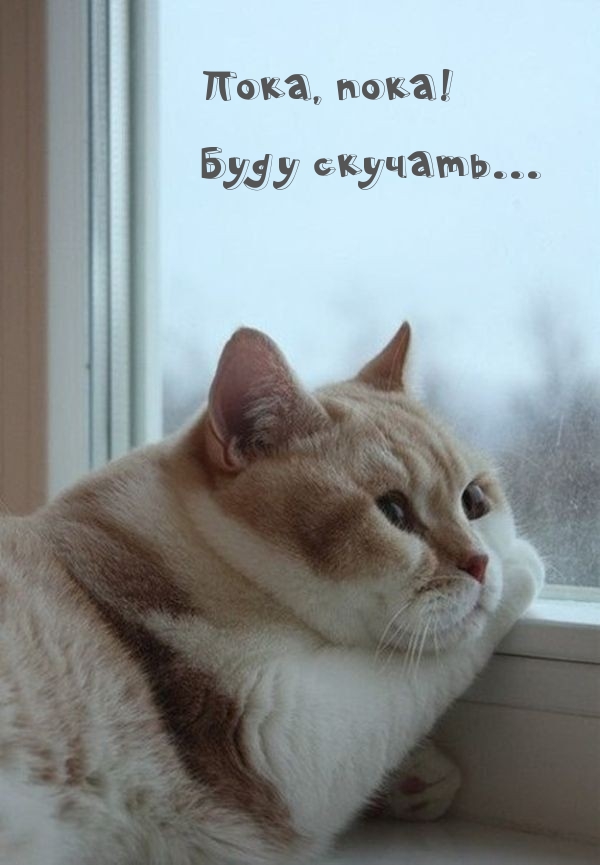 Пока, пока! Буду скучать…