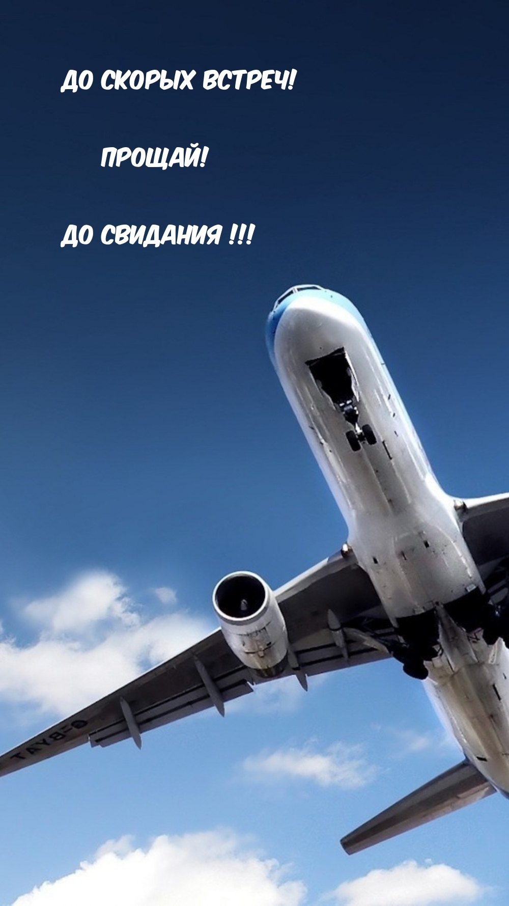 До скорых встреч! Прощай! До свидания!
